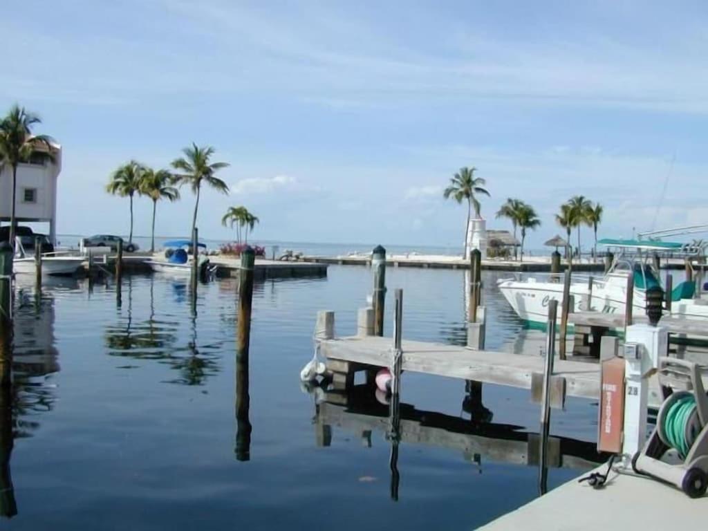 Islamorada Paradise Overlooking The Fabulous Florida Bay. Tavernier Ngoại thất bức ảnh
